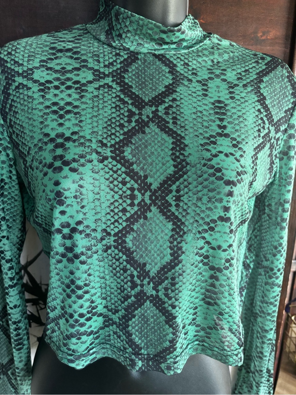 Charlotte Russe Teal Snake-Print Mock Neck Long Sleeve Top